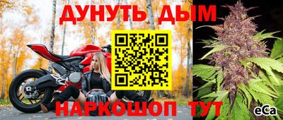 альфа пвп Кингисепп
