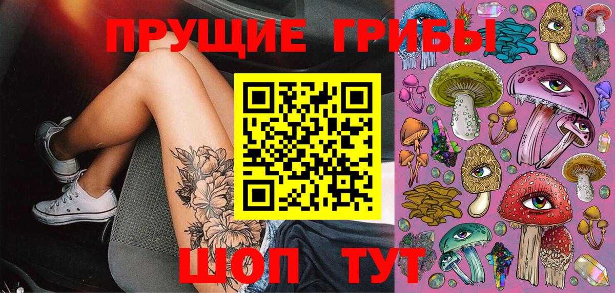 Галлюциногенные грибы Psilocybe Кстово