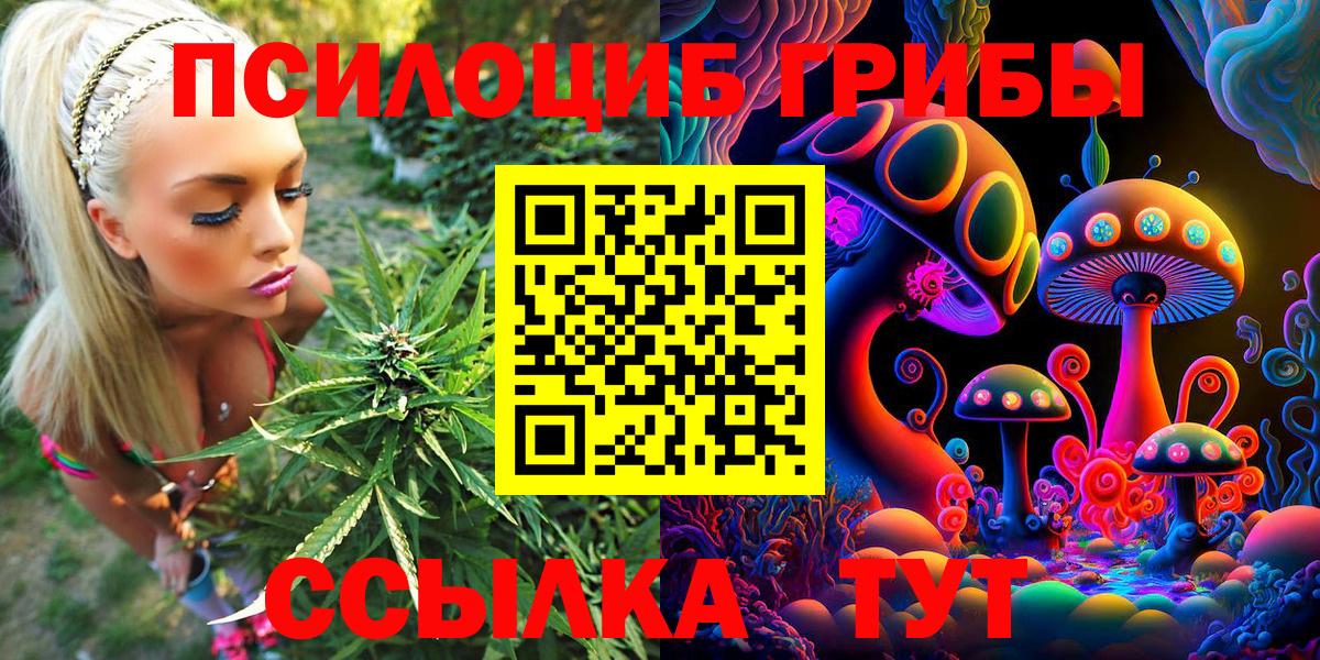 Псилоцибиновые грибы Psilocybe  Вход с VPN  Кстово  Псилоцибиновые грибы мухоморы 